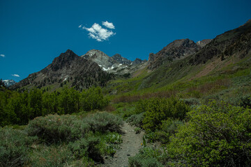 John Muir Wilderness