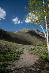 John Muir Wilderness