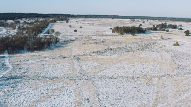 Aerial drone view of snowy veluwe national park Netherlands, backwards