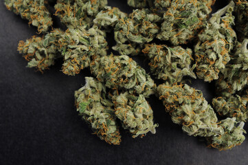 Marijuana cbd buds close-up. Medicinal cannabis blooms on black background. Harvest time, city...