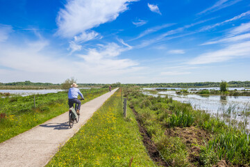 Man riding his bicycle in nature area Westerbroekstermade in Groningen, Netherlands - obrazy, fototapety, plakaty