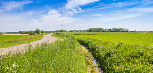 Panorama of a winding road through the green landscape of Drenthe near Spijkerboor, Netherlands