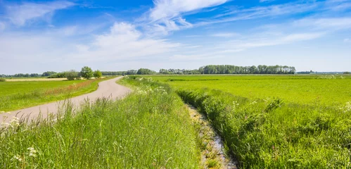 Zelfklevend Fotobehang Panorama of a winding road through the green landscape of Drenthe near Spijkerboor, Netherlands © venemama