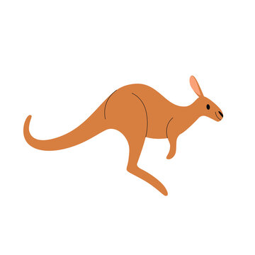 Cartoon kangaroo - cute character for children. Vector illustration in cartoon style.