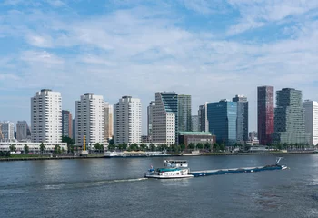 Photo sur Plexiglas Pont Érasme Rotterdam, Netherlands - June 3 2021: Skyline of the city of Rotterdam