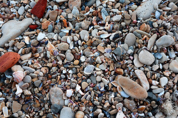 pebbles on the beach