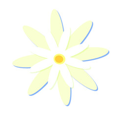  simple chamomile flower