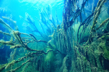 lake underwater landscape abstract / blue transparent water, eco nature protection underwater