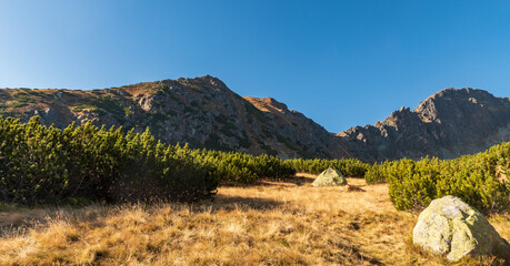 Autumn Furkotska dolina valley with peaks above from Skutnasta polana in Vysoke Tatry mountains in Slovakia © honza28683