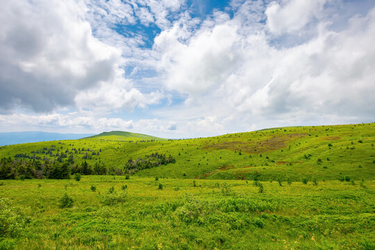 hills and meadows on the mountain plateau. wonderful green summer landscape. clouds on the sky, calm weather