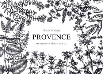 Traditional Provence herbs banner design. Vector frame with savory, marjoram, rosemary, thyme, oregano, lavender illustrations. Hand-sketched kitchen herbs, aromatic and medicinal plants