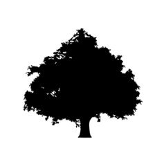 tree silhouette on white background
