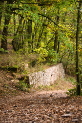Rock wall on a hiking path in a German forest on a fall day.
