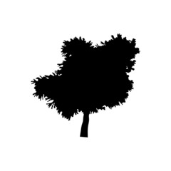 tree silhouette on white background