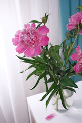 Beautiful peonies in a glass vase on a white table against the background of a window.