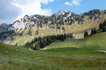 Amazing Swiss landscape - Euschelspass, Jaun, Switzerland