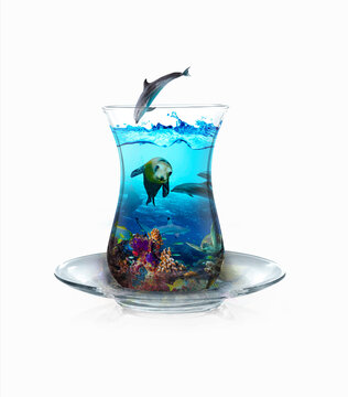 Submarine in tea cups. Dolphin fish, turtle, sea lion and tropical fish. Photo manipulation. 3D illustration. White background.