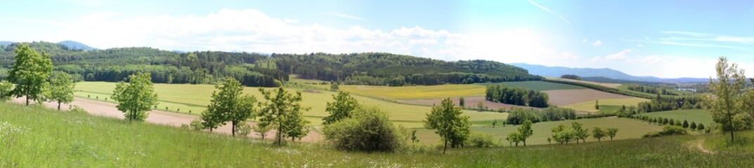 Fototapeta na wymiar Panorama Tanaberg bei Vseruby, Tschechien