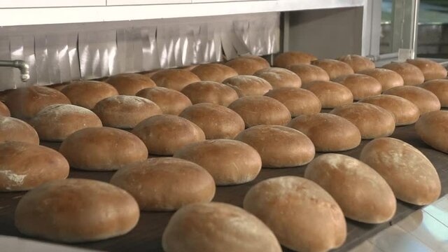 baked bread moves on conveyor belt