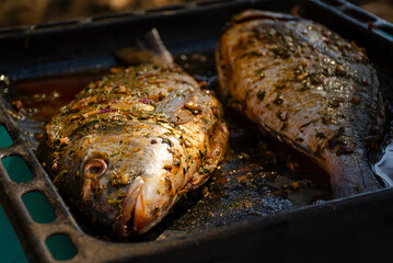 fish cooked in the oven on a baking sheet is incredibly tasty. Especially if this dorado fish
