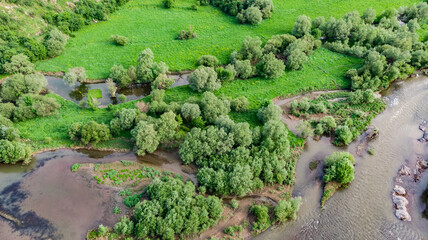 Fototapeta na wymiar drone shot of a green forest and river