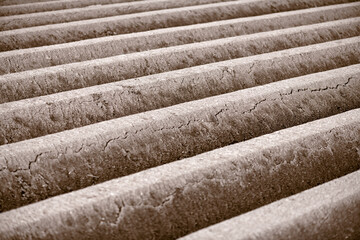 Agricultural field with even rows in the spring