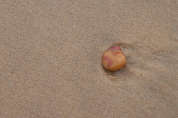 Fototapeta na wymiar Coquillages et petites pierres sur le sable de la plage alors que l´océan vient de se retirer.