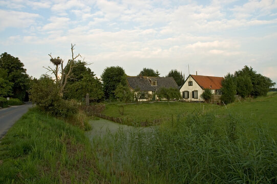 Dutch Farm with White Stork nest, Nederlandse boerderij met Ooievaarsnest