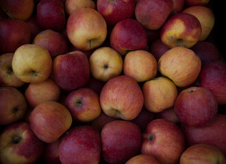 Red apples in abundance. Natural homemade apples. Background. 