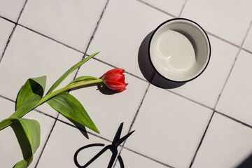 A flat lay composition of a fresh cut red tulip flower, black scissors and a white bowl on a white square tile kitchen or bathroom floor. Summer background.