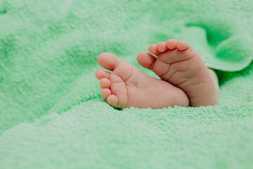 Baby's feet under a green blanket