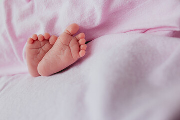 Baby's feet under a pink blanket