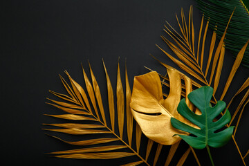 Golden palm leaf and green fresh tropical monstera leave texture frame on dark black background with copy space. Painted gold leaves forest pattern on summer nature floral background