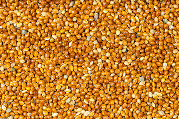 top view of unhulled proso millet grains