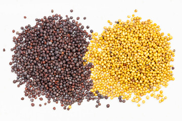 piles of yellow and brown mustard seeds on gray