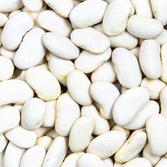 uncooked white beans close up