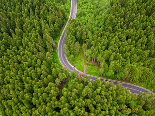 Aerial view of winding road in high mountain pass trough dense green pine woods.