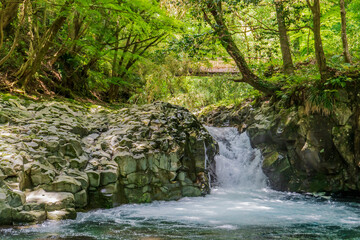 Fototapeta premium ”カニ滝（Kanidaru)