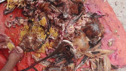 A butcher removing wastage from stomach of chicken at street of Dhaka, Bangladesh. Cutting and processing chicken meat.