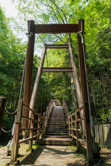 &rdquo;河津七滝（かわずななだる)&rdquo;にある片塔式ウェーブ橋の&rdquo;河津踊子滝見（かわずおどりこ　たきみ)橋&rdquo;／静岡県河津町