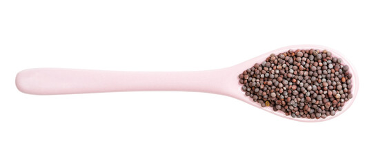 ceramic spoon with black mustard seeds isolated