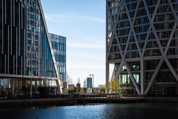 buildings in the city