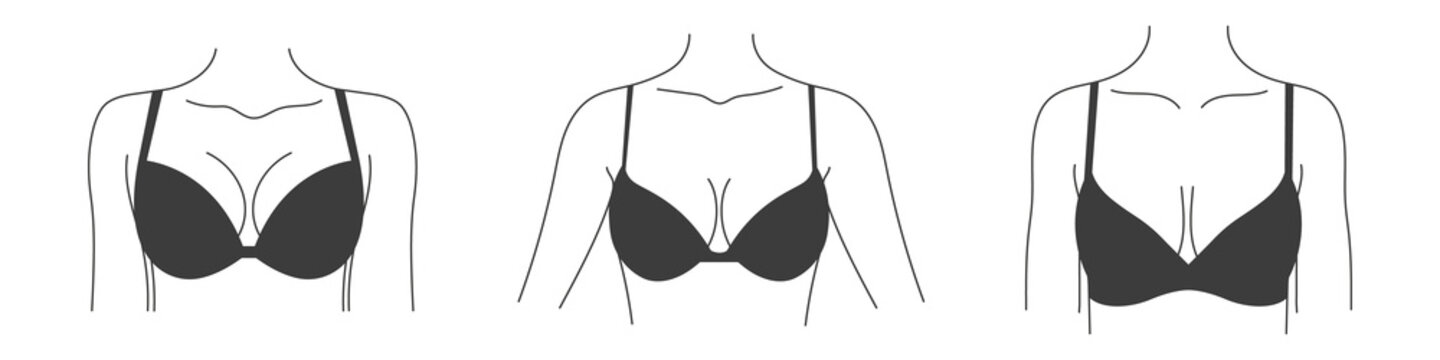 Types of bras. Collection of lingerie. Women's underwear. Vector illustration