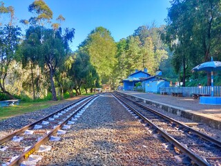 railway in the forest
