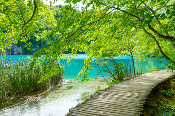Deep forest stream with crystal clear water with wooden pahway. Plitvice lakes, Croatia UNESCO world heritage site
