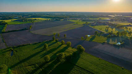 Fototapeta premium Aerial view with a drone of a spring wavy agricultural countryside landscape with plowed and unplowed fields and trees in the blue evening sky. High quality photo