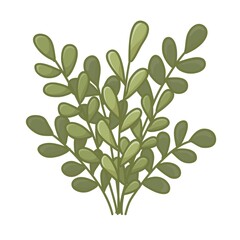 Cartoon shrub isolated on white background. Vector illustration