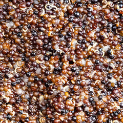 porridge from boiled canihua grains close up