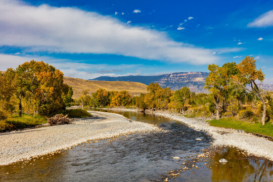 "Shoshone River Beauty"