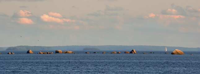 Panorama of Baltic sea shelf with boulders and stones. Clouds, yacht and birds in evening warm light. Clean nordic nature in gulf of Finland.